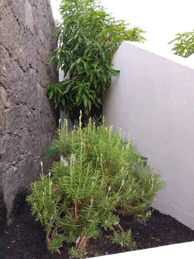 Villa Lanzarote Puerto Calero